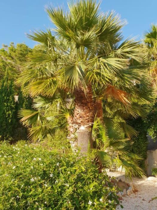 Banyan Cotobro Villa Almuñécar Екстериор снимка